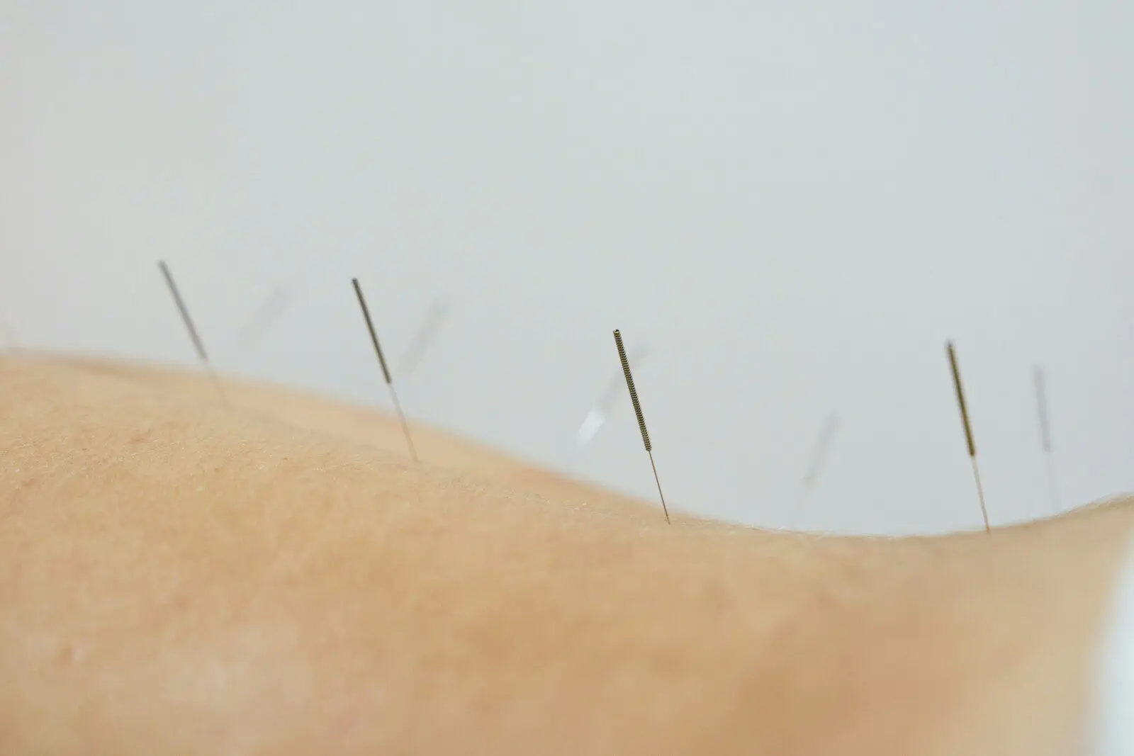 molly-the-cat-bzVELyl3p9Y-unsplash