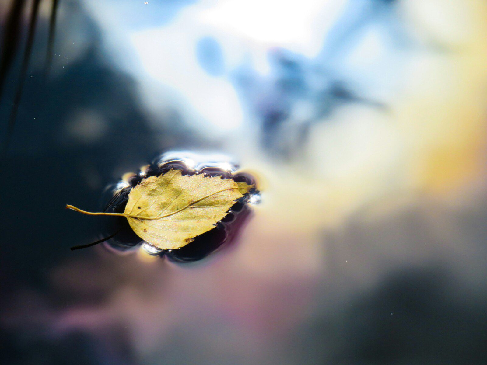 anastasiya-romanova-77QASQxcOtg-unsplash