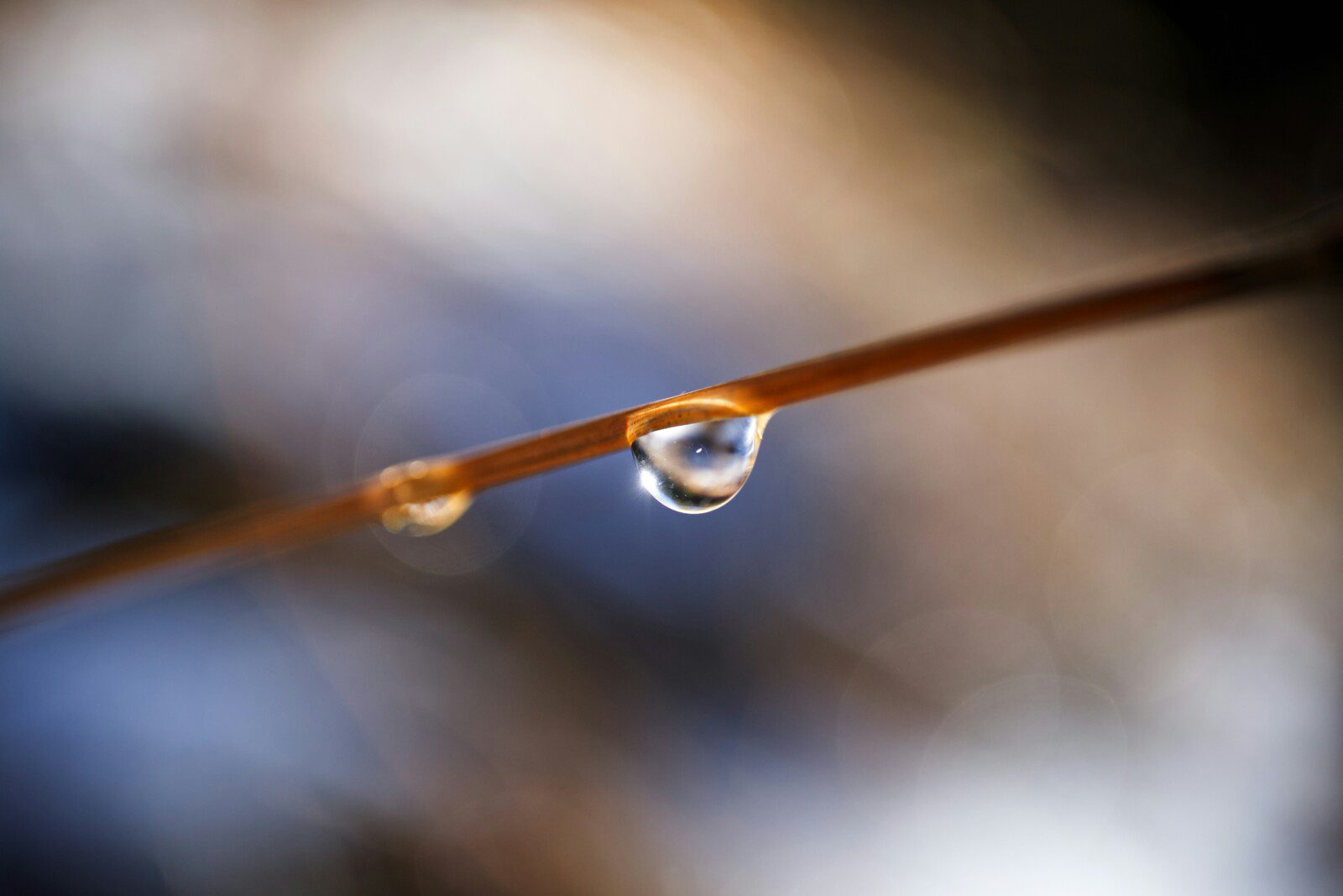 jens-zoll-JQuRKuYhG0c-unsplash