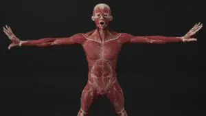 A man with his arms out and hands out