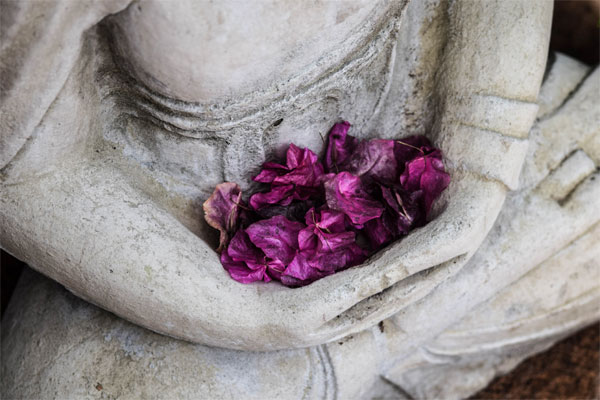 Flower petals in a statue