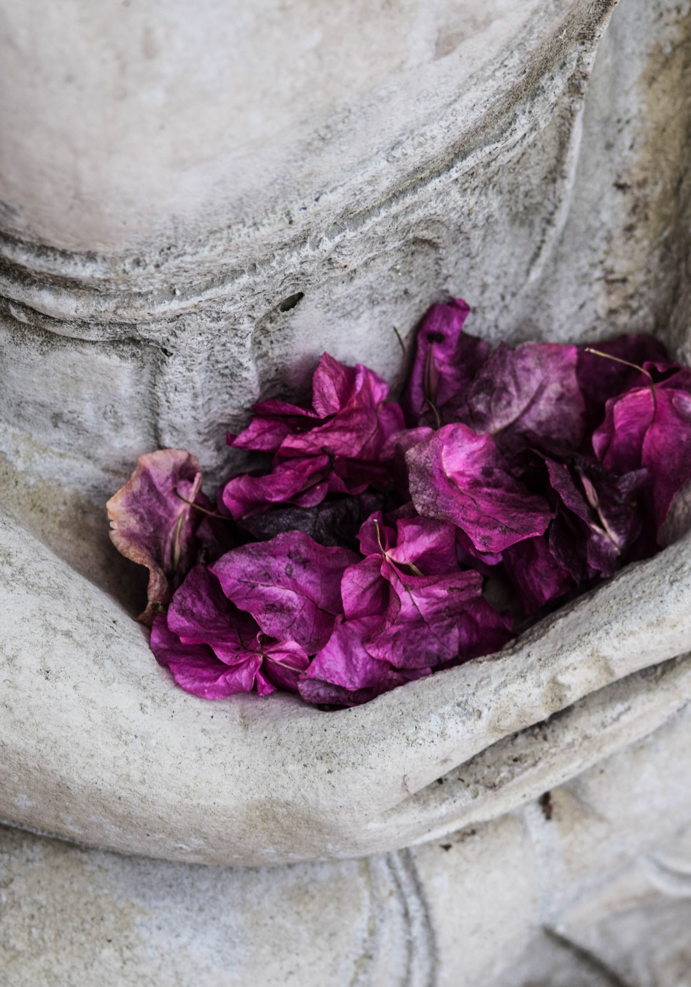 Flower petals in a statue