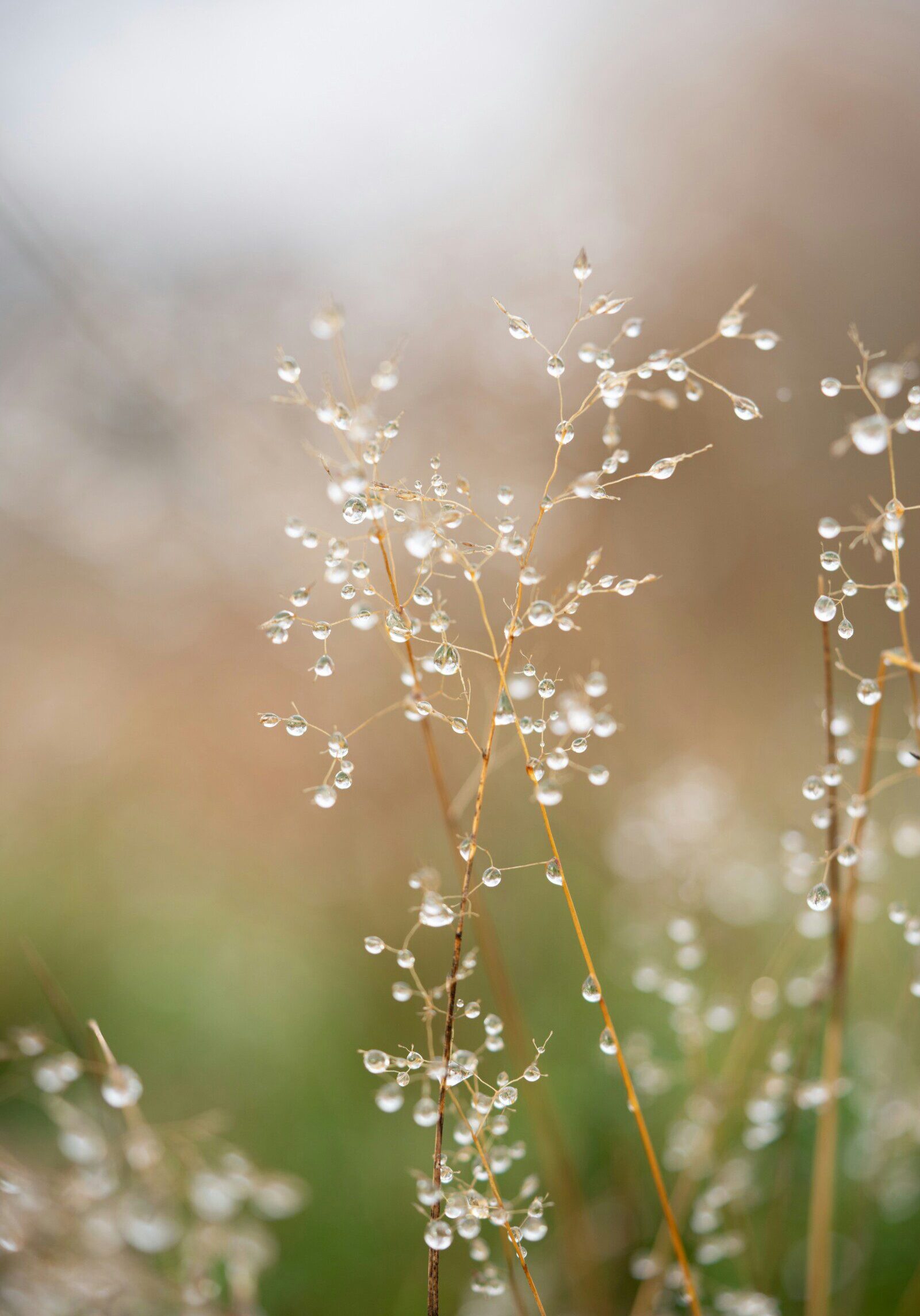 cj-ljD1isug35k-unsplash