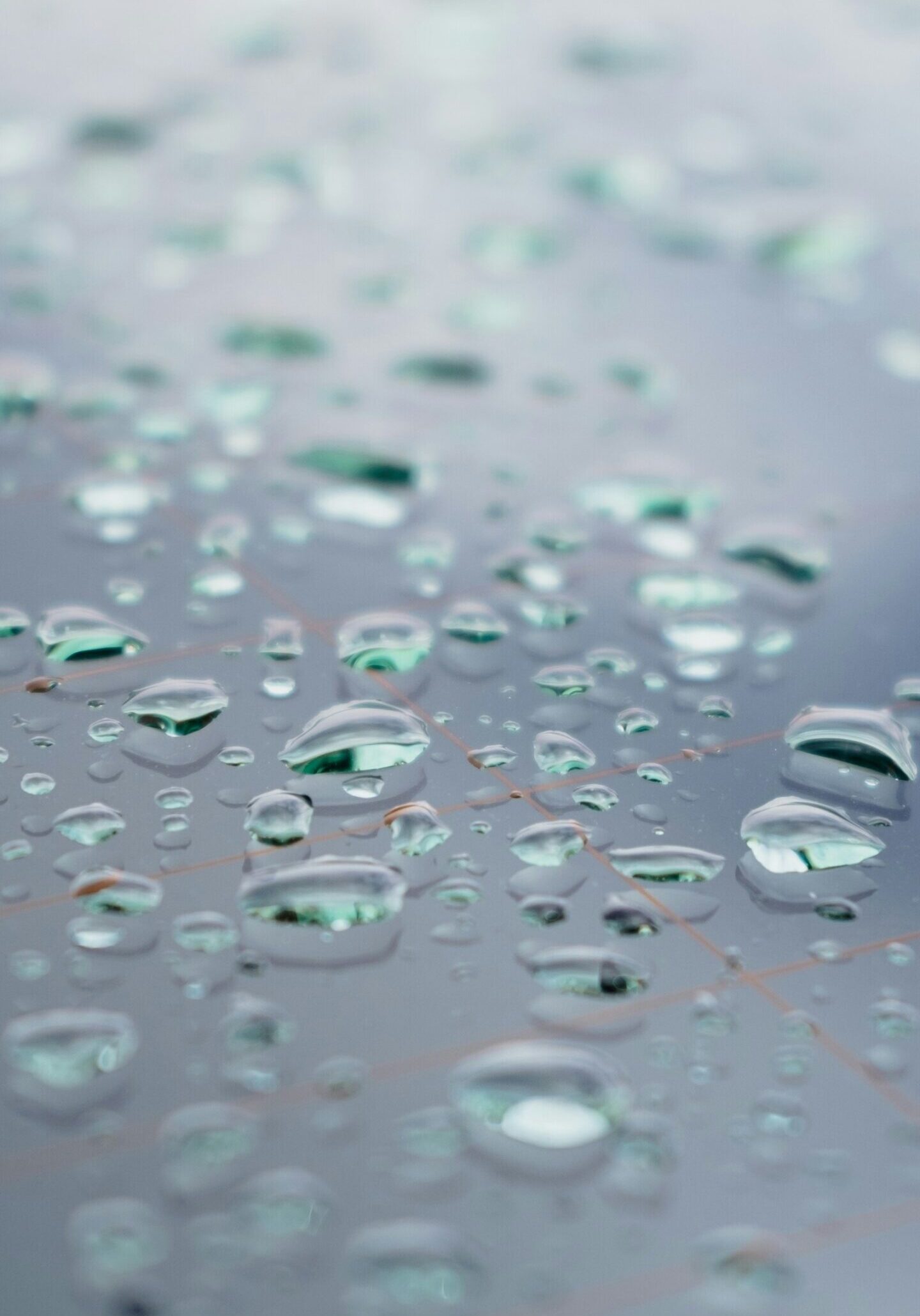 georgiy-kupenskiy-OiCFiJDwtjQ-unsplash