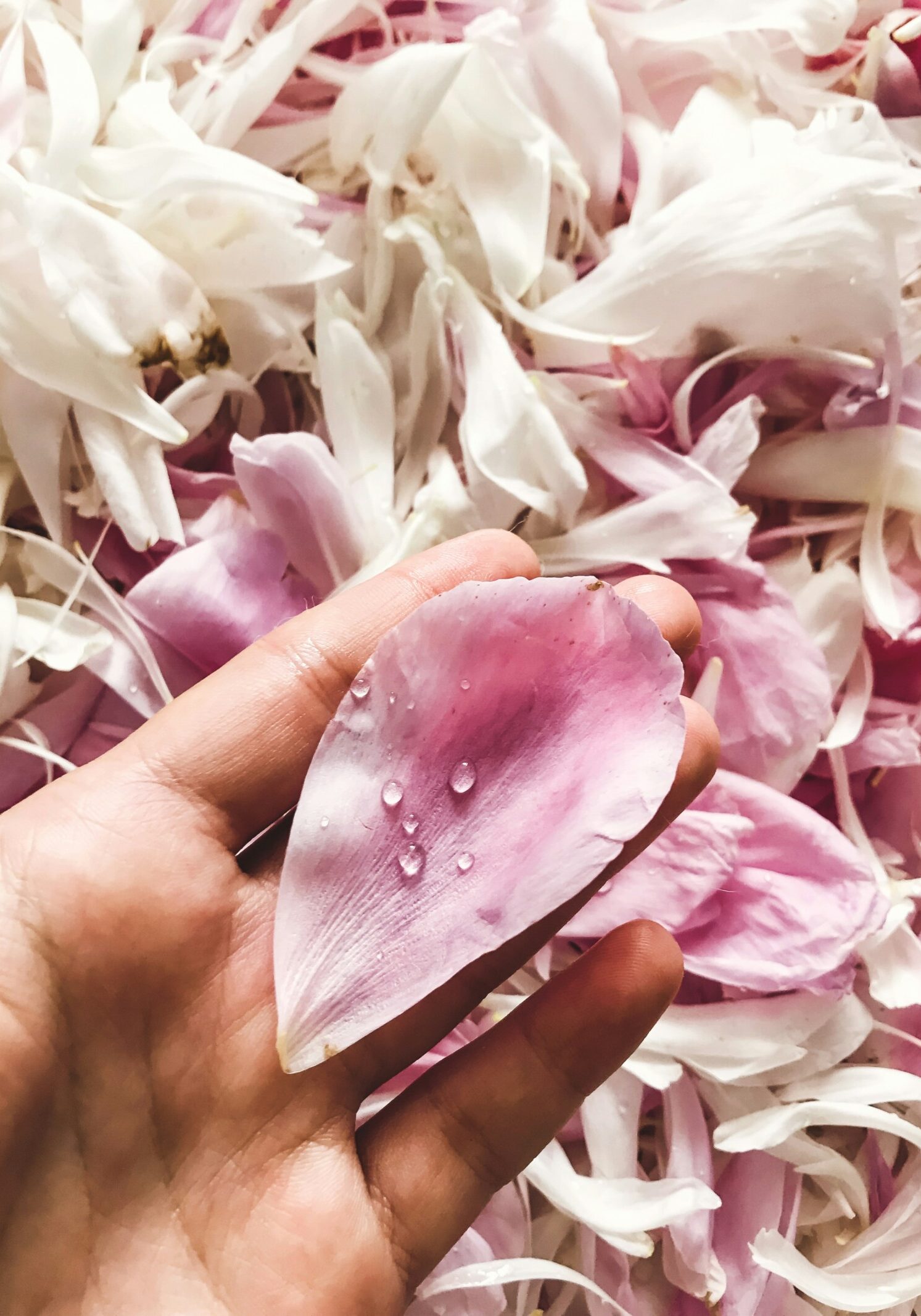 getty-images--zN6G5SAzwI-unsplash